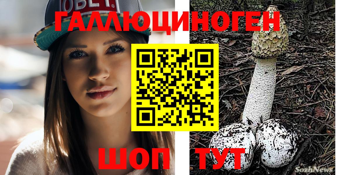 Галлюциногенные грибы мицелий Вичуга