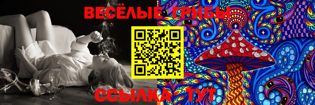 Галлюциногенные грибы MAGIC MUSHROOMS  где найти наркотики  Вичуга 